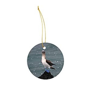 Booby Christmas 2024 - Etsy