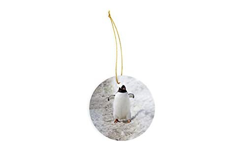 Discover Gentoo Penguin Ceramic Ornament - Christmas Decorations