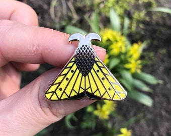 Moth Enamel Pin | butterfly | insect | hard enamel | badge | brooch
