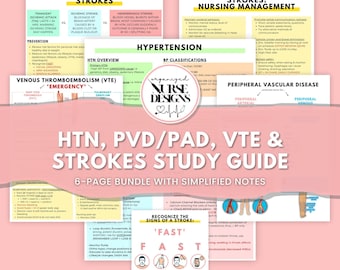 Cardiac Nursing School Study Guide: Hypertension, PVD vs. PAD, DVT, Strokes | Nursing School Notes Bundle | Nursing Student | Med Surg Notes