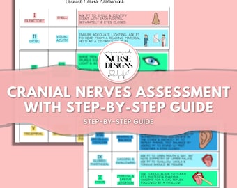 Cranial Nerves Assessment Step-by-Step Guide | Nursing Student | Nursing Template | Nursing School | Nursing Fundamentals