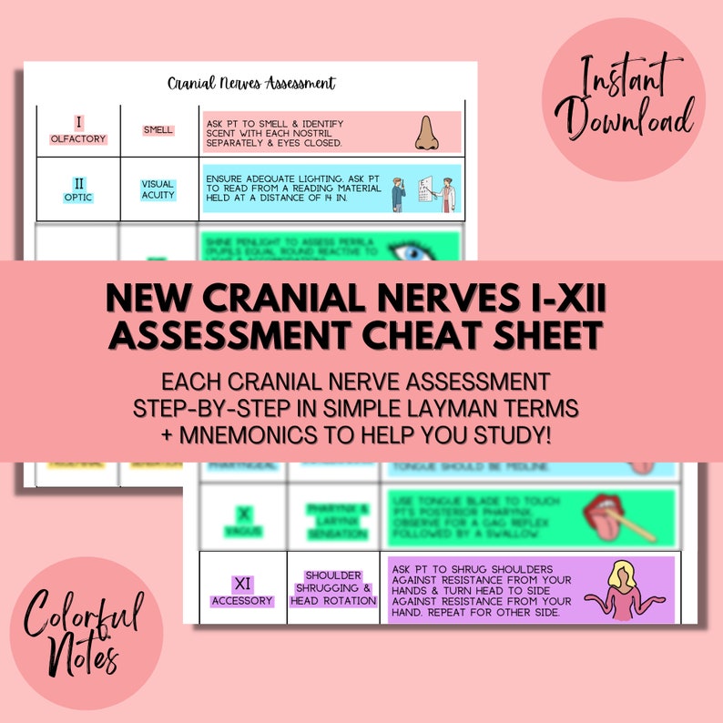 Nursing Assessment Template: Head-to-toe Guide, Cranial Nerves (PDF ...