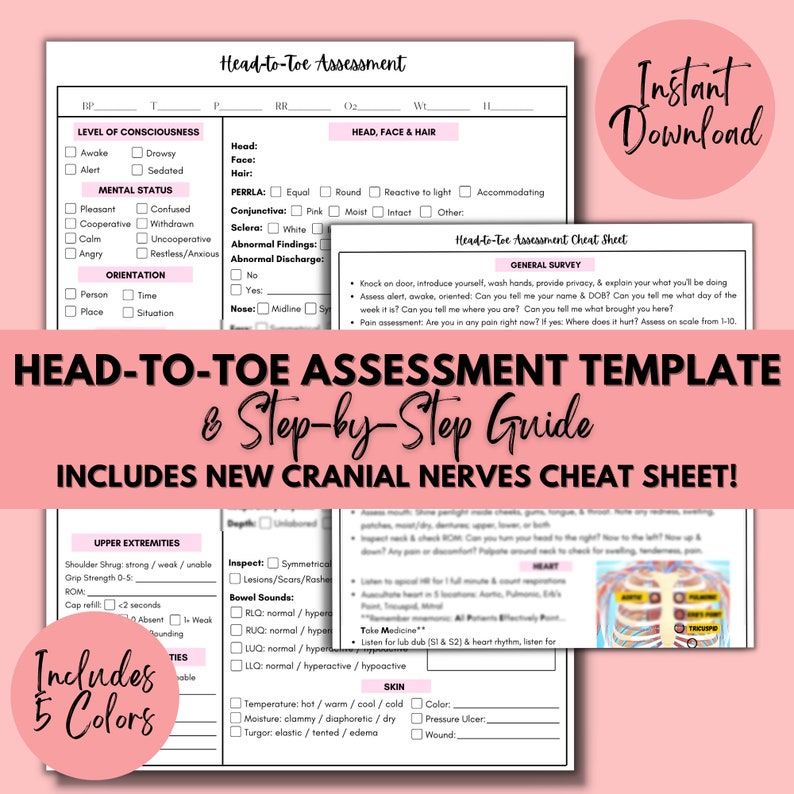 Head-to-Toe Assessment Template with Cranial Nerves Assessment Step-by-Step Guide Nursing Student Nursing School image 1