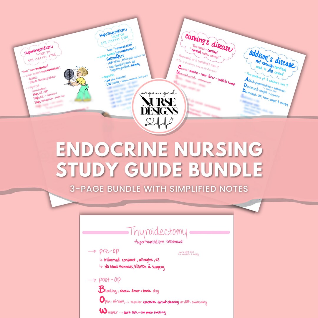 Endocrine Nursing Study Guide: Thyroid Disorders, Med Surg Notes ...
