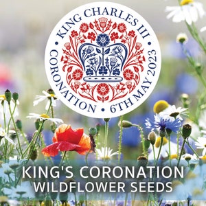 Wildflower Seed Mix of Red White & Blue British Flowers British Flag Union Jack Outdoor Decoration King's Coronation Seeds