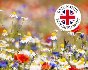 British Wildflowers Seed Mix UK Wildflower Meadow Flower Seeds Save the Bees