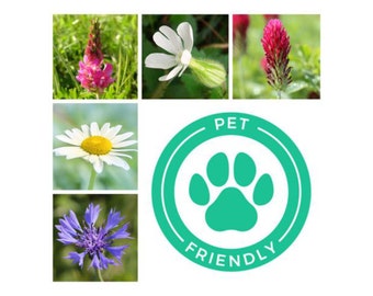 Pet Friendly Wildflower Seeds Grazing Safe for Dogs Cats Rabbits Meadow British Flower Seeds