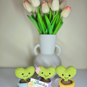 May include: Three crocheted heart-shaped plants in pots, each with a happy face. The plants are green and have brown stems. The pots are blue, purple, and yellow. The plants are sitting on wooden bases. A card with the text "Thanks for helping me Grow!" is in front of the plants.