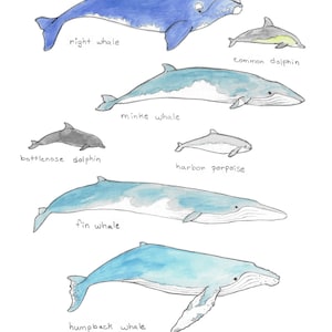 ブロック島のクジラのプリント