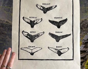 De walvissen van Ísafjarðardjúp-afdruk