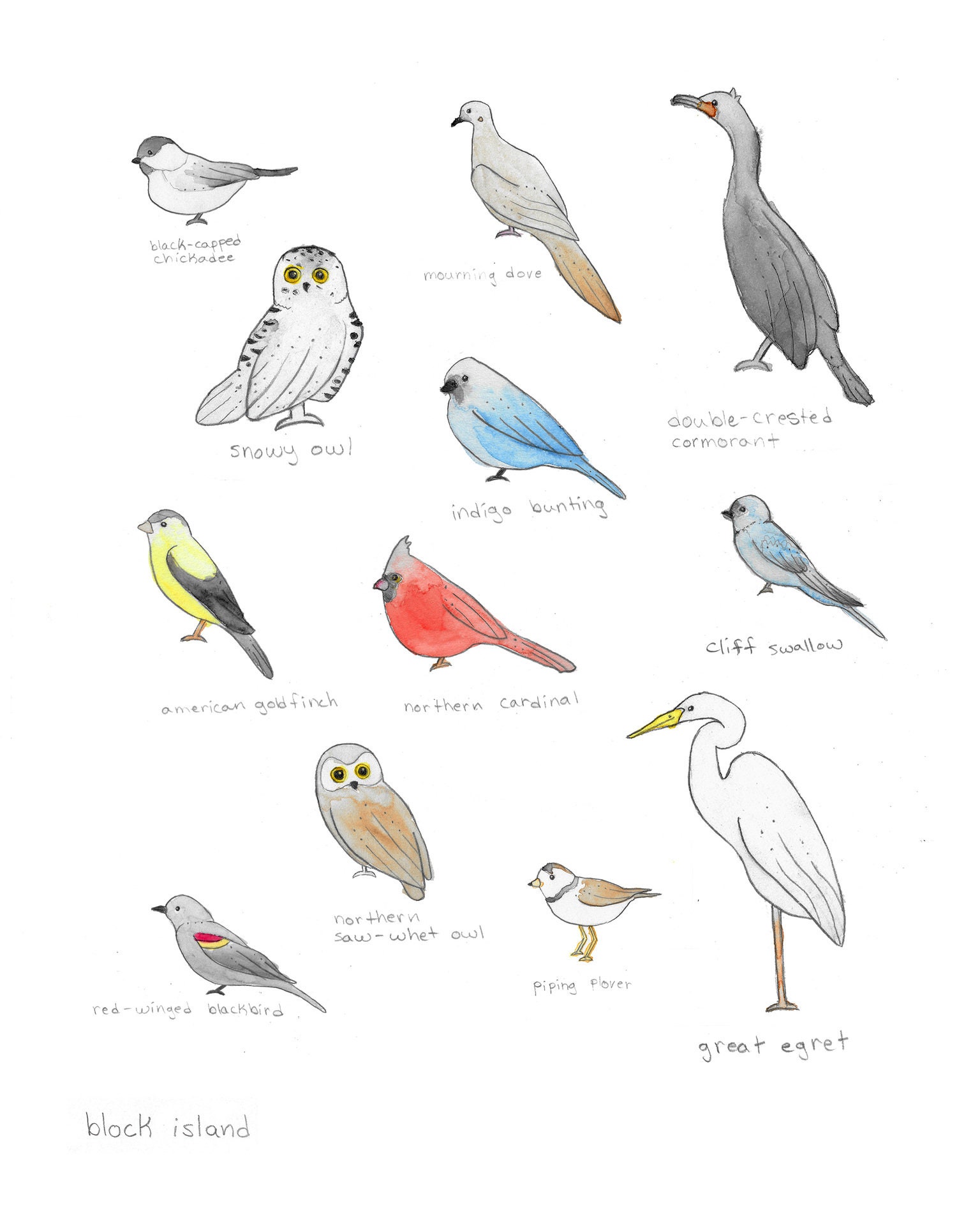 Block Island Birds Print Etsy
