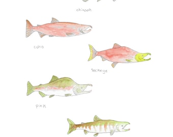 Salmon Print