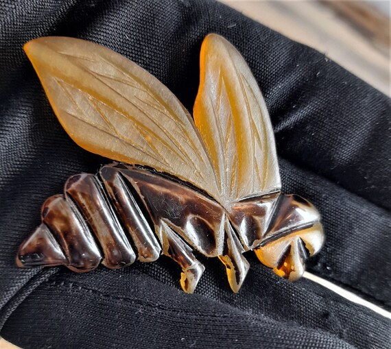Antique insect jewellery shop