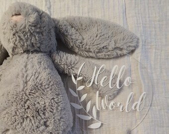 Hello World - Acrylic Baby Announcement Plaque