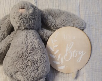 Wooden Baby Gender Announcement Plaque