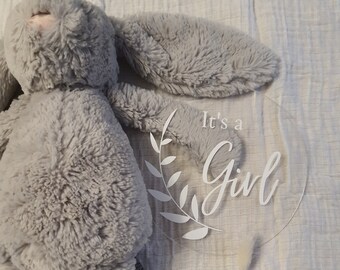 Acrylic Baby Gender Announcement Plaque