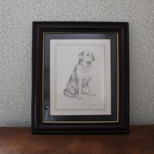Vintage Pencil Labrador Illustration Dog Sketch Print Signed C.Varley