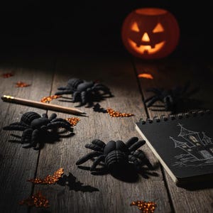 Könnte beinhalten: Ein Halloween-Stillleben mit schwarzen Spinnen, orangefarbenem Konfetti, einem geschnitzten Kürbis, einem Bleistift und einem Notizblock mit einer Skizze eines Spukhauses. Die Gegenstände sind auf einer rustikalen Holzoberfläche angeordnet.