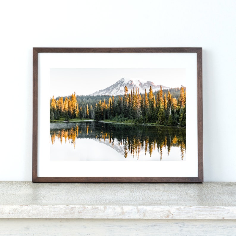 Mountain reflecting in lake with trees in mt rainier national park wall photo framed above dresser.