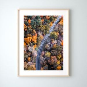 Fall Road Trip Wall Photo, Colorful Forest Photography, Autumn Trees Print, Pine Trees Landscape Photo, Multiple Sizes Available