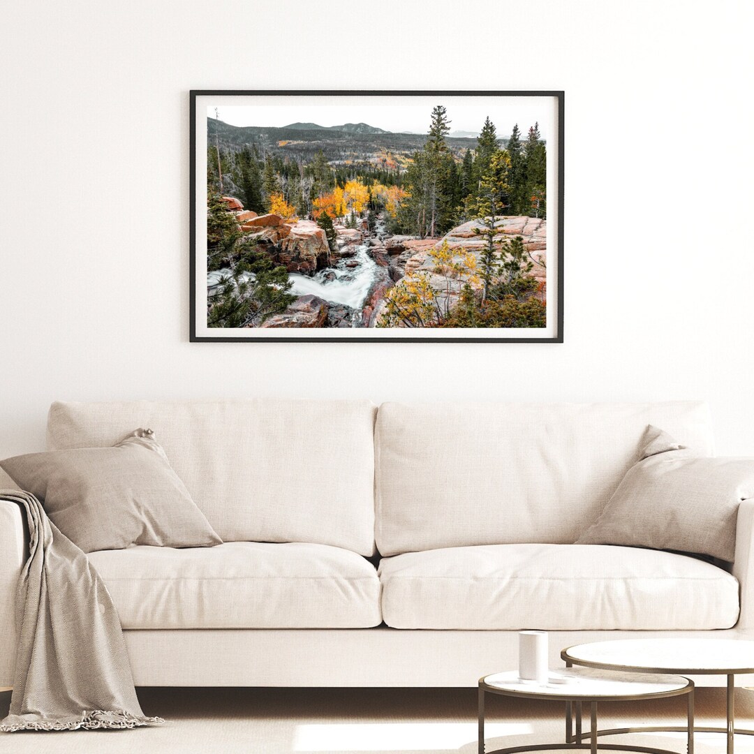 Colorado Forest Wall Photo, Scenic Rocky Mountain National Park ...