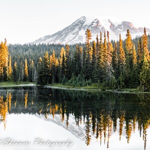 Mountain reflecting in lake with trees in mt rainier national park wall photo