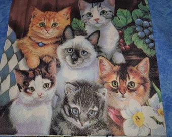2 Serviettes en papier Portrait de chat  Decoupage Paper Napkins Cat 