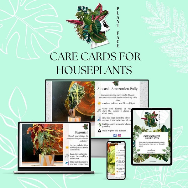 eBook | Care Cards for Houseplants | How to care for houseplants | Most common houseplants | Houseplant care for the ADHD indoor gardener |