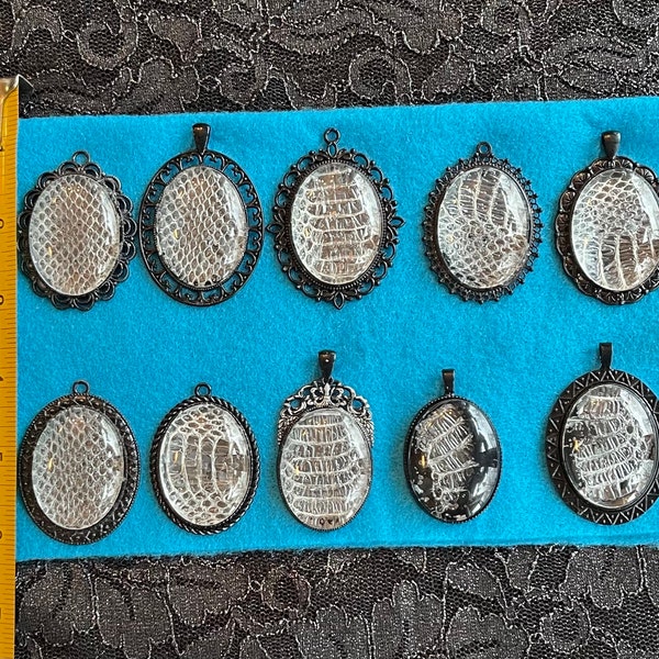 Snake Skin Shed Bezels group#1