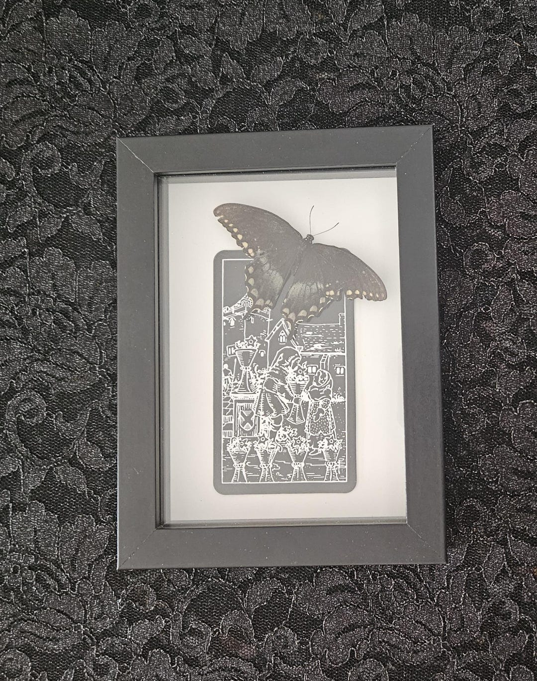 Spicebush Swallowtail Butterfly on the Six of Cups Tarot Card Shadow ...