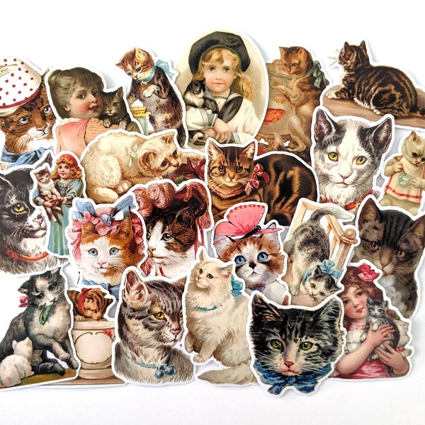 Victorian Cat Etsy