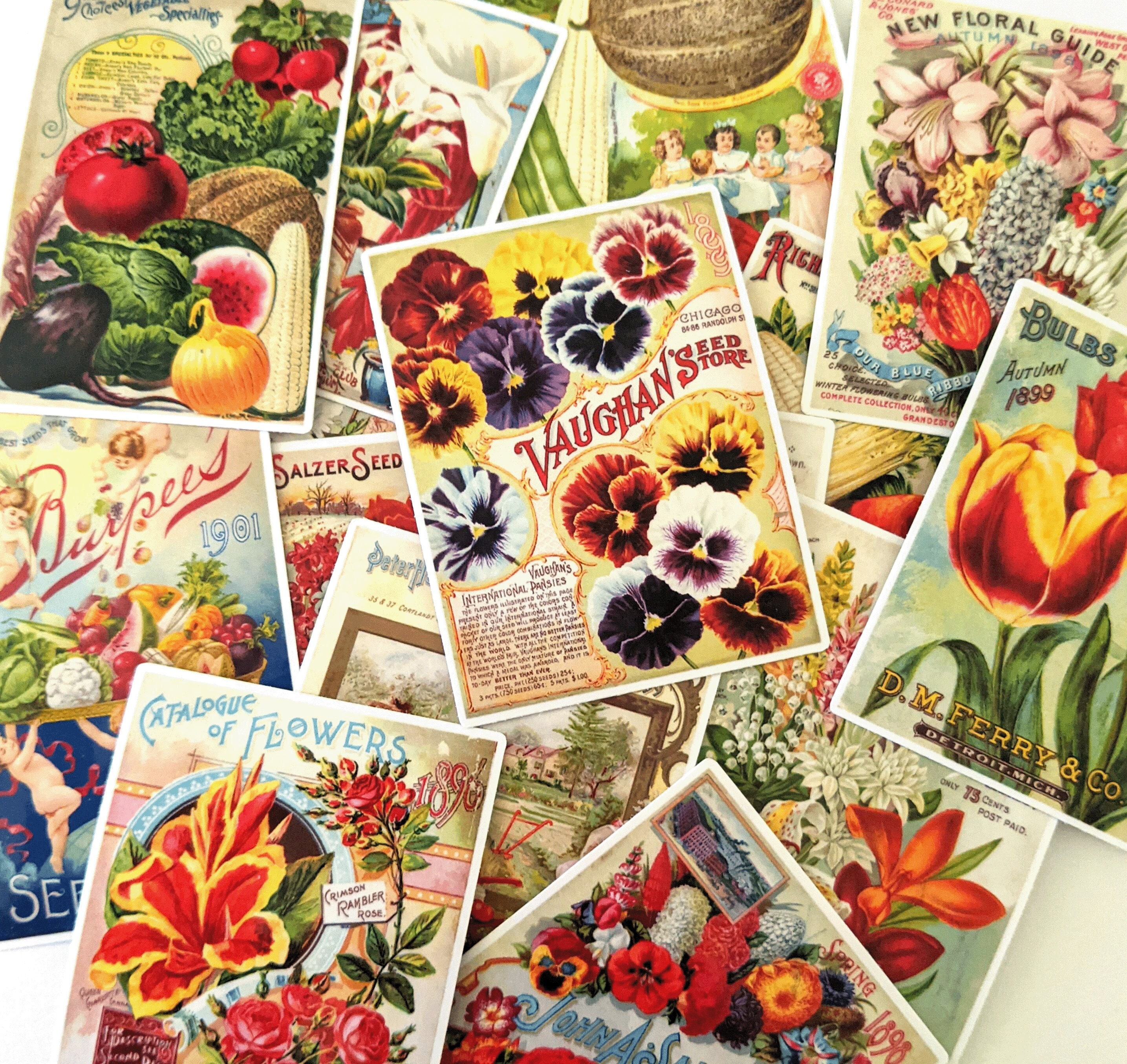 Antique Flower Seed Packets Sticker Sheet Vintage Seed 