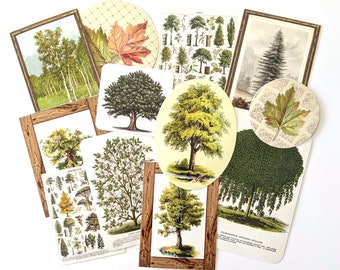 Vintage Tree Stickers Pack. Handmade Stickers, Nature Stickers, Plant Stickers, Junk Journal Supplies, Crafting