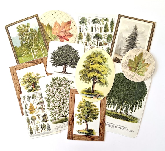 Vintage Tree Stickers Pack. Handmade Stickers, Nature Stickers, Plant  Stickers, Junk Journal Supplies, Crafting 