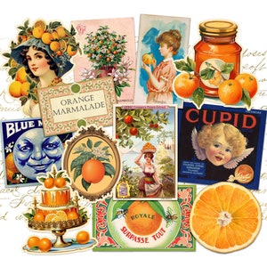 Vintage Orange Sticker Pack - Fruit Ephemera - Junk Journal Supplies - Laptop Stickers - Victorian - Crafts - Handmade Gifts