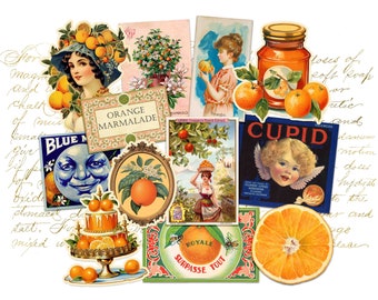 Vintage Orange Sticker Pack - Fruit Ephemera - Junk Journal Supplies - Laptop Stickers - Victorian - Crafts - Handmade Gifts