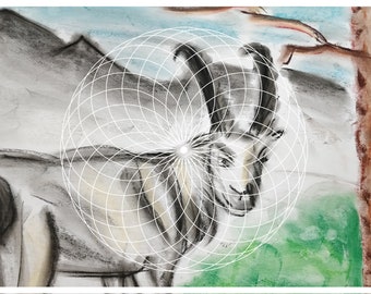 Pintura de animales de poder - dibujo de tiza de animales espirituales