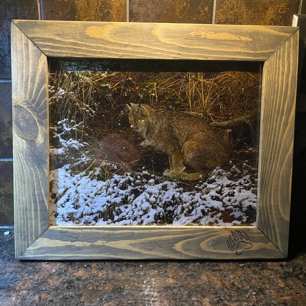 Rustic handcrafted frames, wildlife, photos, artwork, frames, Jasper wildlife, Alberta wildlife, Christmas gifts, birthday gift