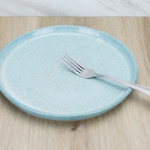 Dinner Plate Blue Speckled Set of 4