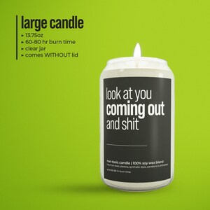 Look At You Coming Out And Shit, Gay Pride Candle, Coming Out Of Closet, Gift For Bisexual Friend, Lesbian Gag Gifts, Transgender Candle LARGE without lid