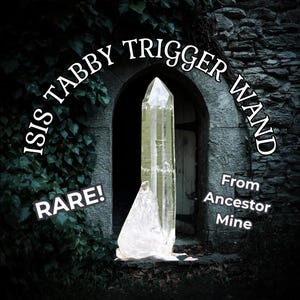 7.6g RARE Isis Tabby Inner Child Trigger Wand from Ancestor Mine Arkansas Quartz Crystal