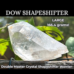 May include: A large, clear, faceted quartz crystal labeled as a Dow Shapeshifter. The text on the image reads DOW SHAPESHIFTER, LARGE, 166.4 grams!, and Double Master Crystal Shapeshifter Warrior. The crystal has a pointed, geometric structure.