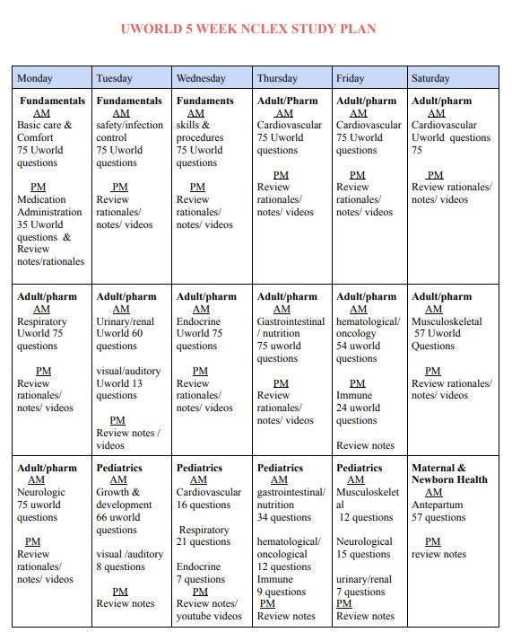 5 Week NCLEX Study Plan Uworld 2 Page Etsy UK