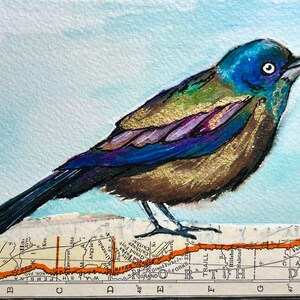 Birds with vintage map (4x6 prints)