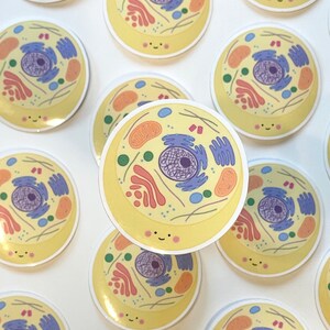 May include: A set of 10 round stickers featuring a cartoon illustration of a cell with a smiling face. The cell is yellow with various colored organelles inside, including a purple nucleus, green chloroplasts, and orange mitochondria.
