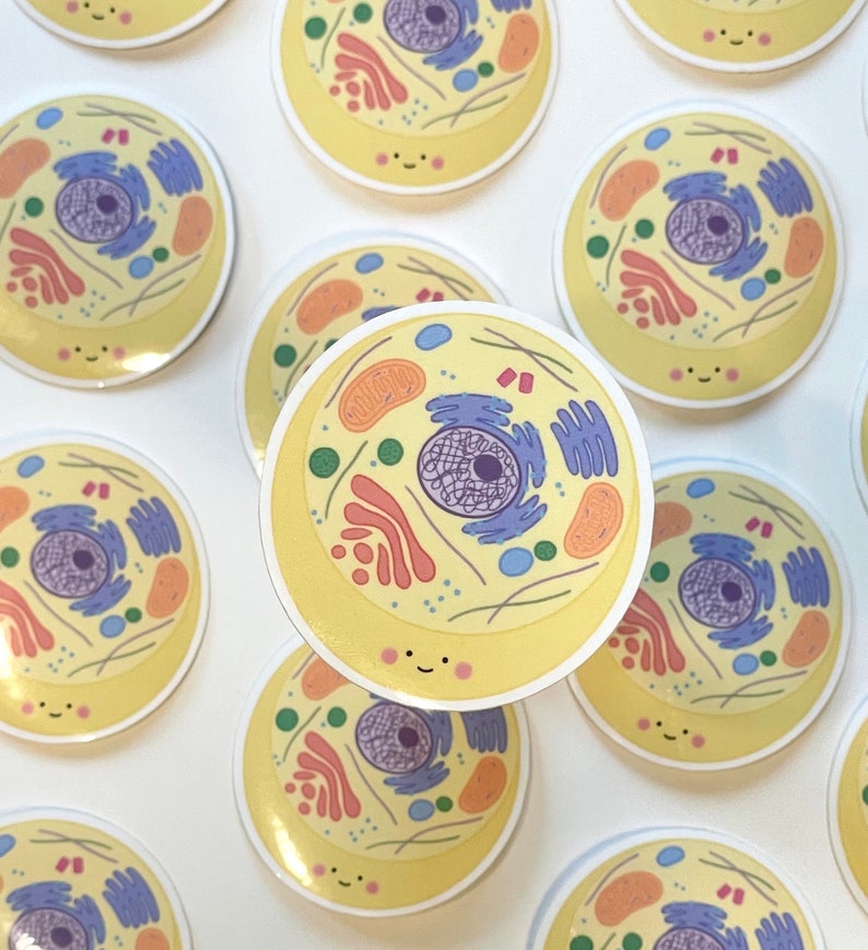 May include: A set of 10 round stickers featuring a cartoon illustration of a cell with a smiling face. The cell is yellow with various colored organelles inside, including a purple nucleus, green chloroplasts, and orange mitochondria.