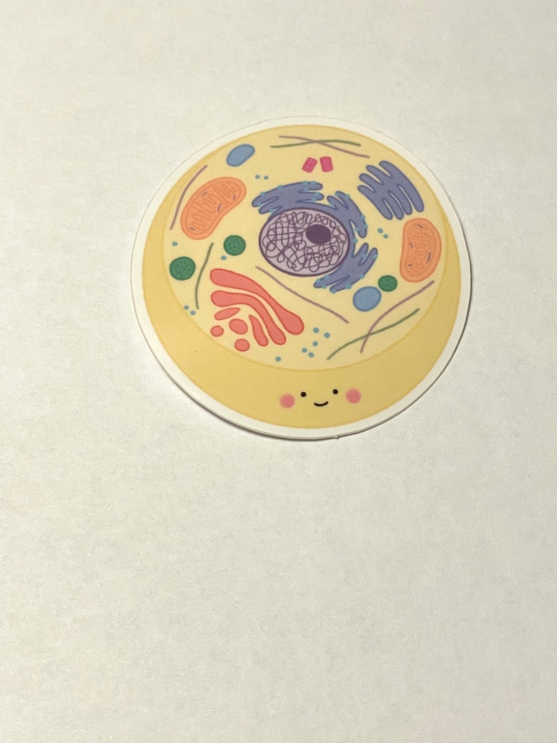May include: A yellow circle sticker with a cartoon illustration of a cell. The cell has a nucleus, endoplasmic reticulum, Golgi apparatus, ribosomes, and other organelles. The cell has a smiling face with pink cheeks.