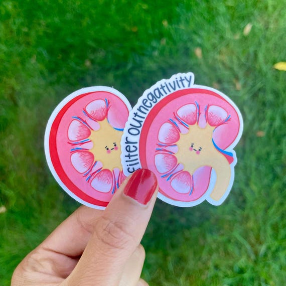 Kidney Sticker, Nephrology Doctor Gift, ICU nurse, Dialysis, Medical Student, Medicine, Pre-med, Biology, Anatomy, Science Laptop Phone