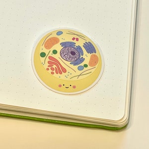May include: A yellow cell sticker with a smiling face. The cell has a nucleus, endoplasmic reticulum, Golgi apparatus, ribosomes, and mitochondria.