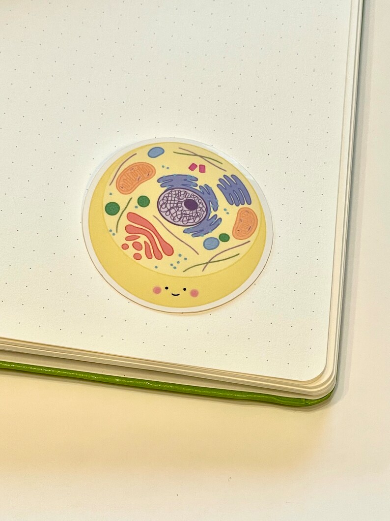 May include: A yellow cell sticker with a smiling face. The cell has a nucleus, endoplasmic reticulum, Golgi apparatus, ribosomes, and mitochondria.
